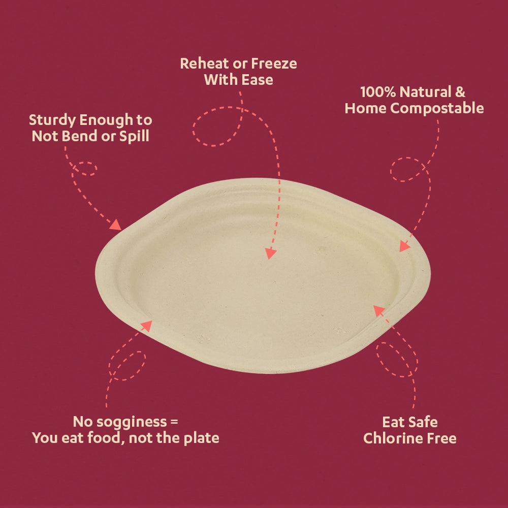 Champ 12 Inch Sugarcane Bagasse Disposable Plate,500 Count