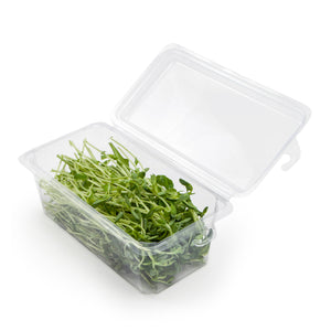 2 - 3 oz. Hanging Herb or Microgreen Package 0412