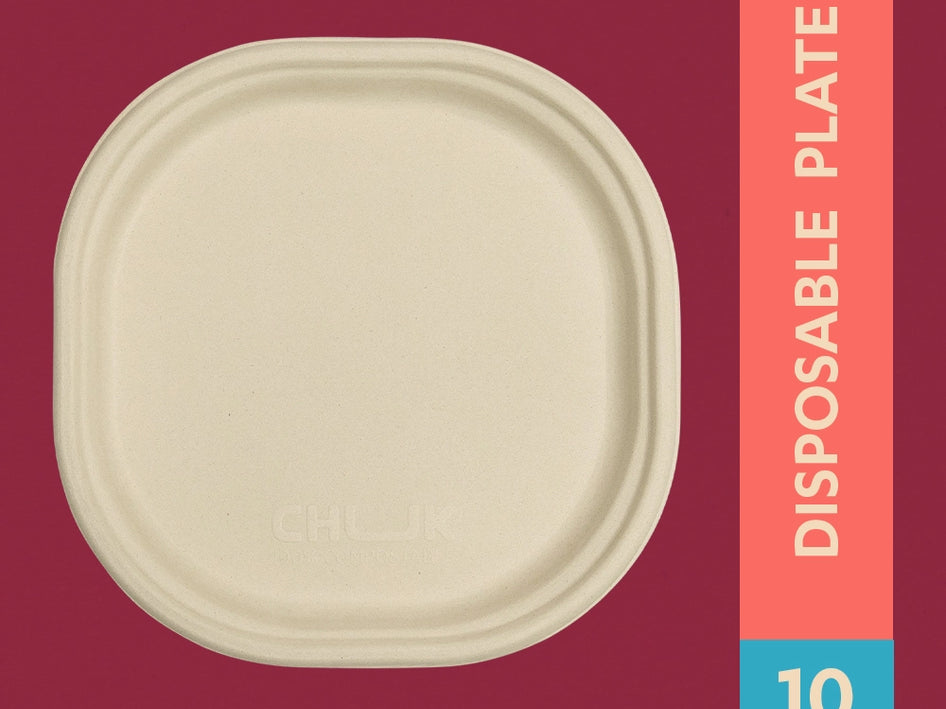 Chaska 10 Inch Sugarcane Bagasse Disposable Plate,500 Count