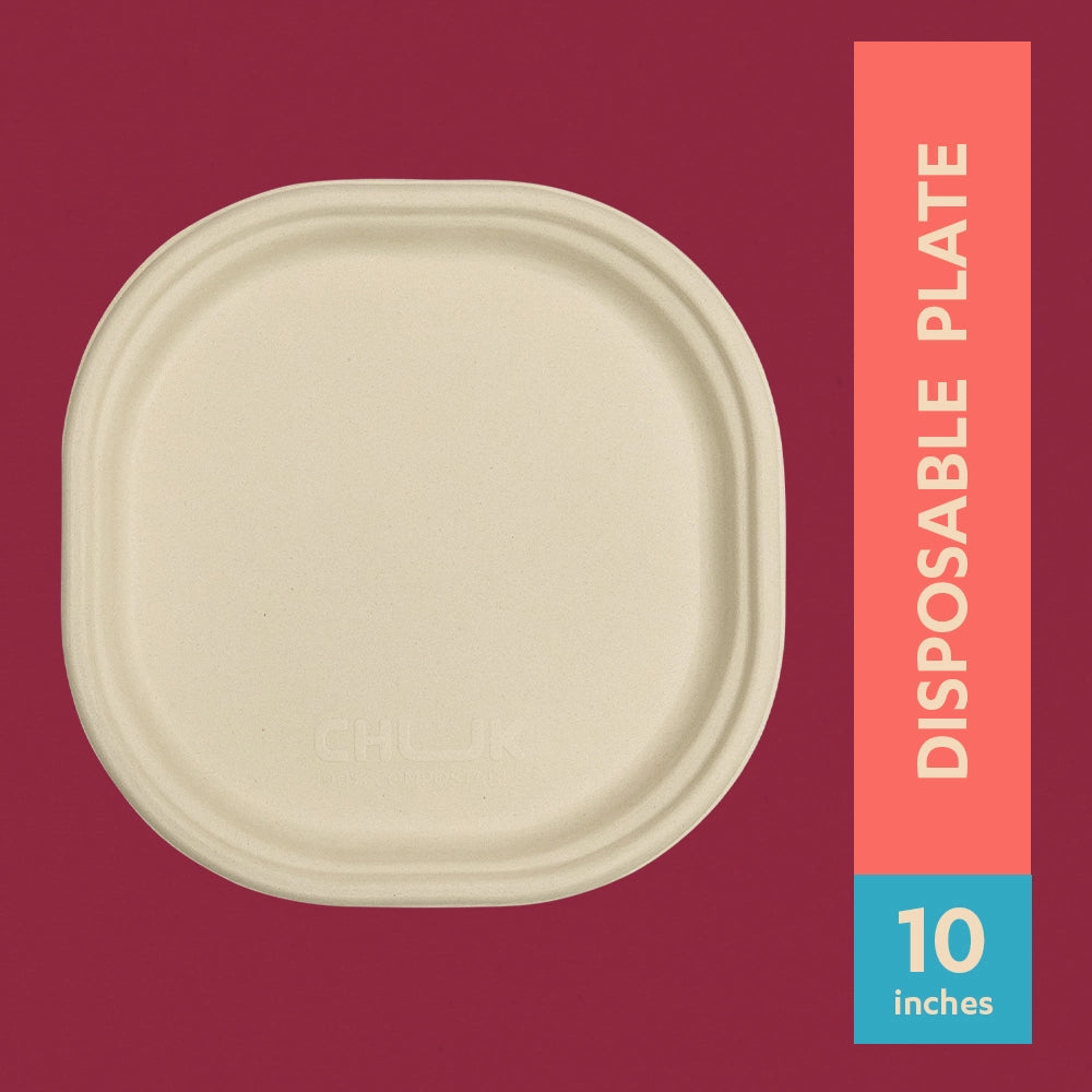 Chaska 10 Inch Sugarcane Bagasse Disposable Plate,500 Count