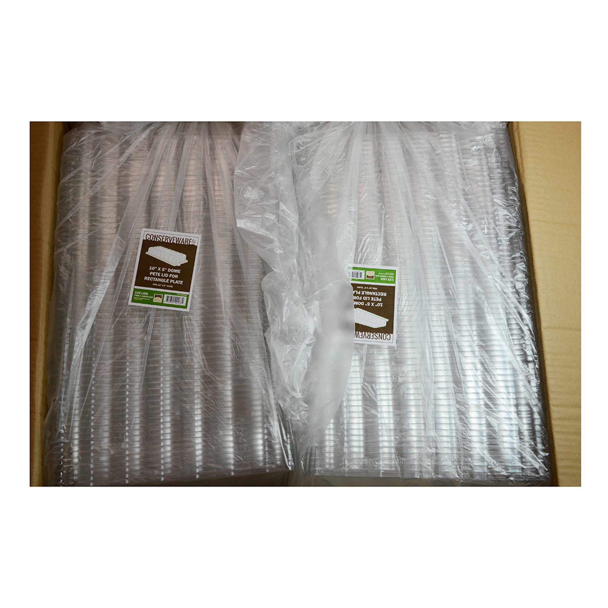 10" X 5" DOME LID FOR RECTANGLE PLATE - lifestyle view