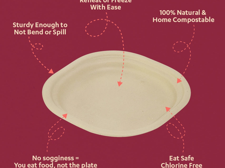 Champ 12 Inch Sugarcane Bagasse Disposable Plate,500 Count