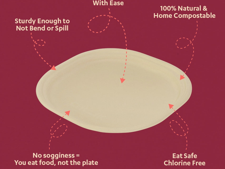 Chukizza 9 Inch Sugarcane Bagasse Disposable Plate,500 Count