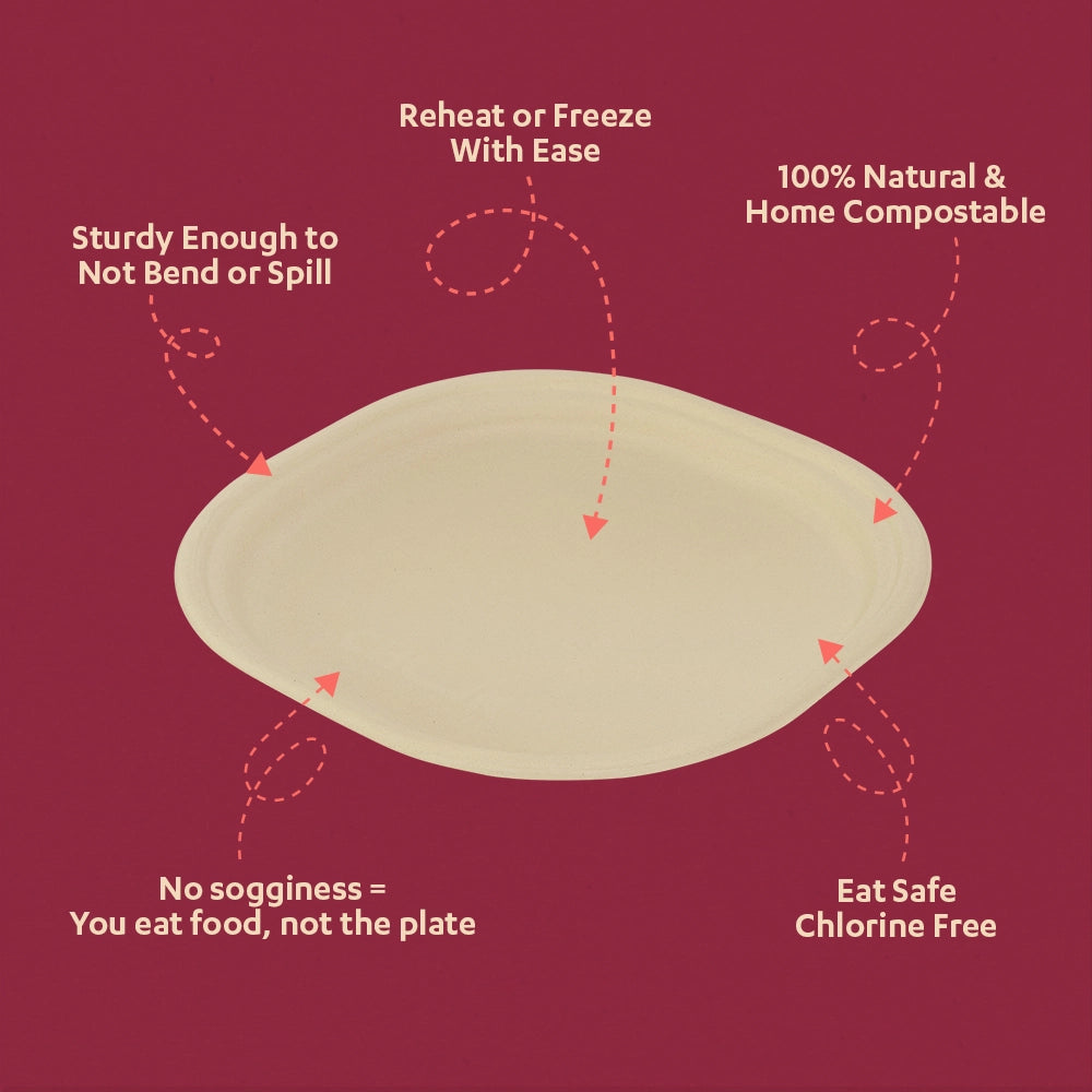 Chukizza 9 Inch Sugarcane Bagasse Disposable Plate,500 Count
