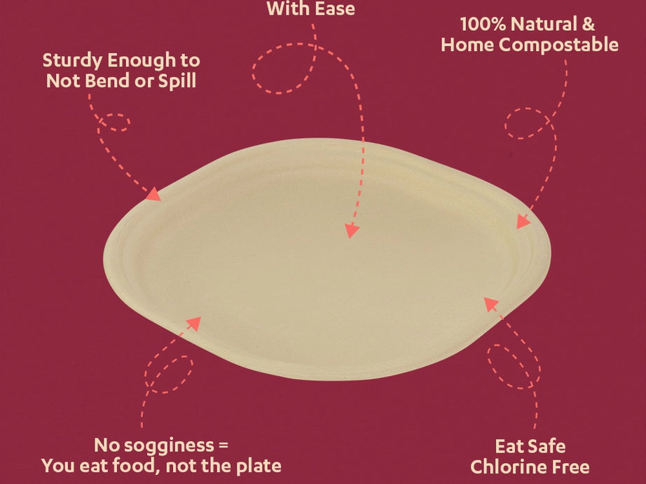 Chaska 10 Inch Sugarcane Bagasse Disposable Plate,500 Count