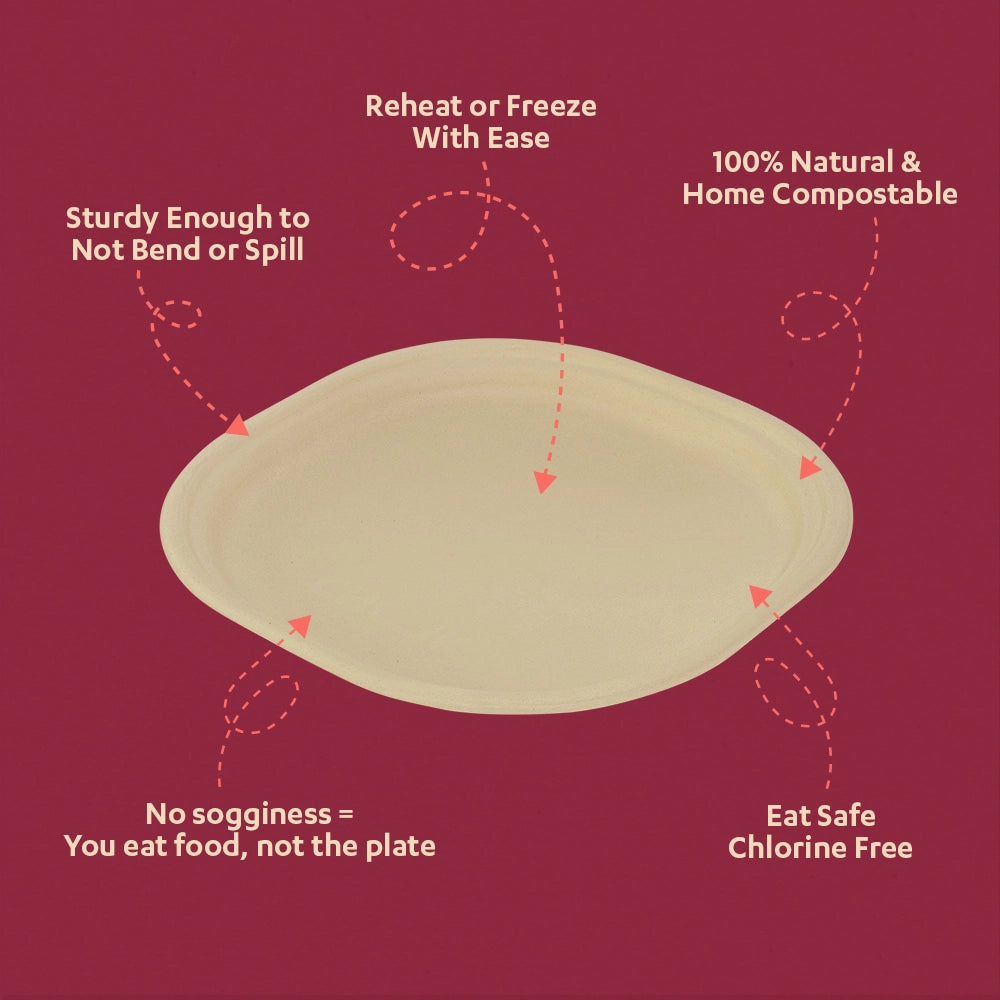 Chaska 10 Inch Sugarcane Bagasse Disposable Plate,500 Count