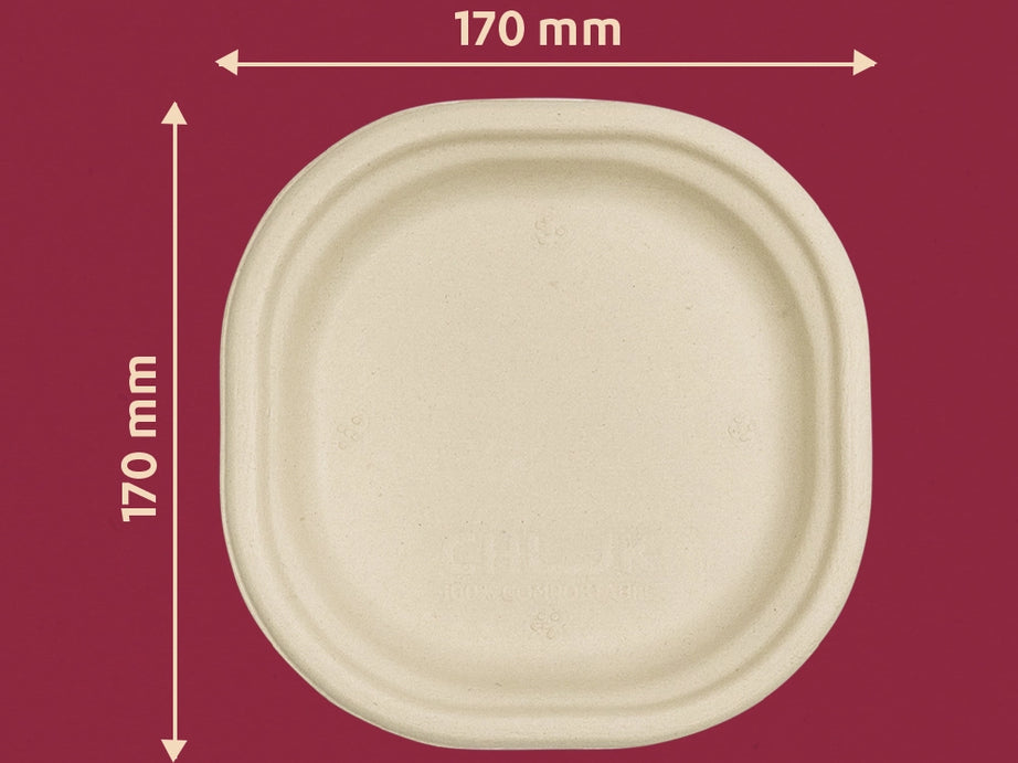 Chowpatty 7 Inch Sugarcane Bagasse Disposable Plate,1000 Count
