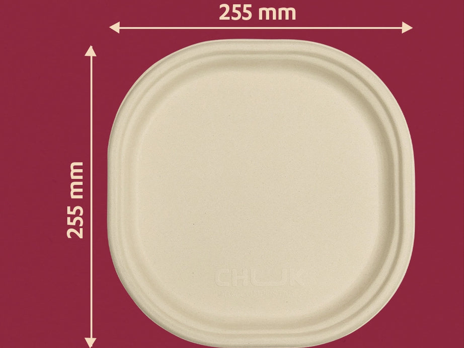 Chaska 10 Inch Sugarcane Bagasse Disposable Plate,500 Count