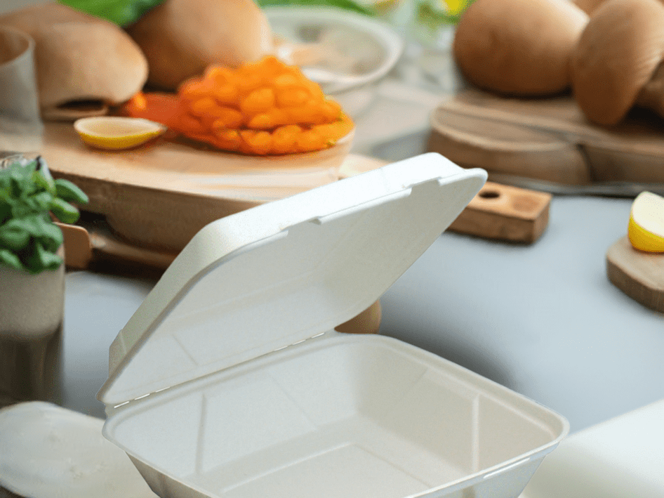 Large 1-Compartment No Added PFAS Plant Fiber Hinged Container, 200-Count Case