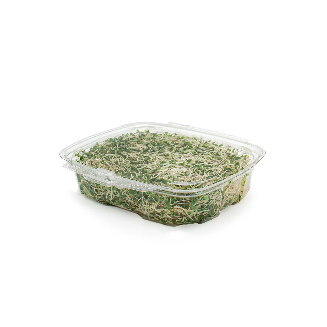 GoodGuard™ 20 oz. Multi-purpose Clamshell Package, Crystal Clear, PLA, 180/Case