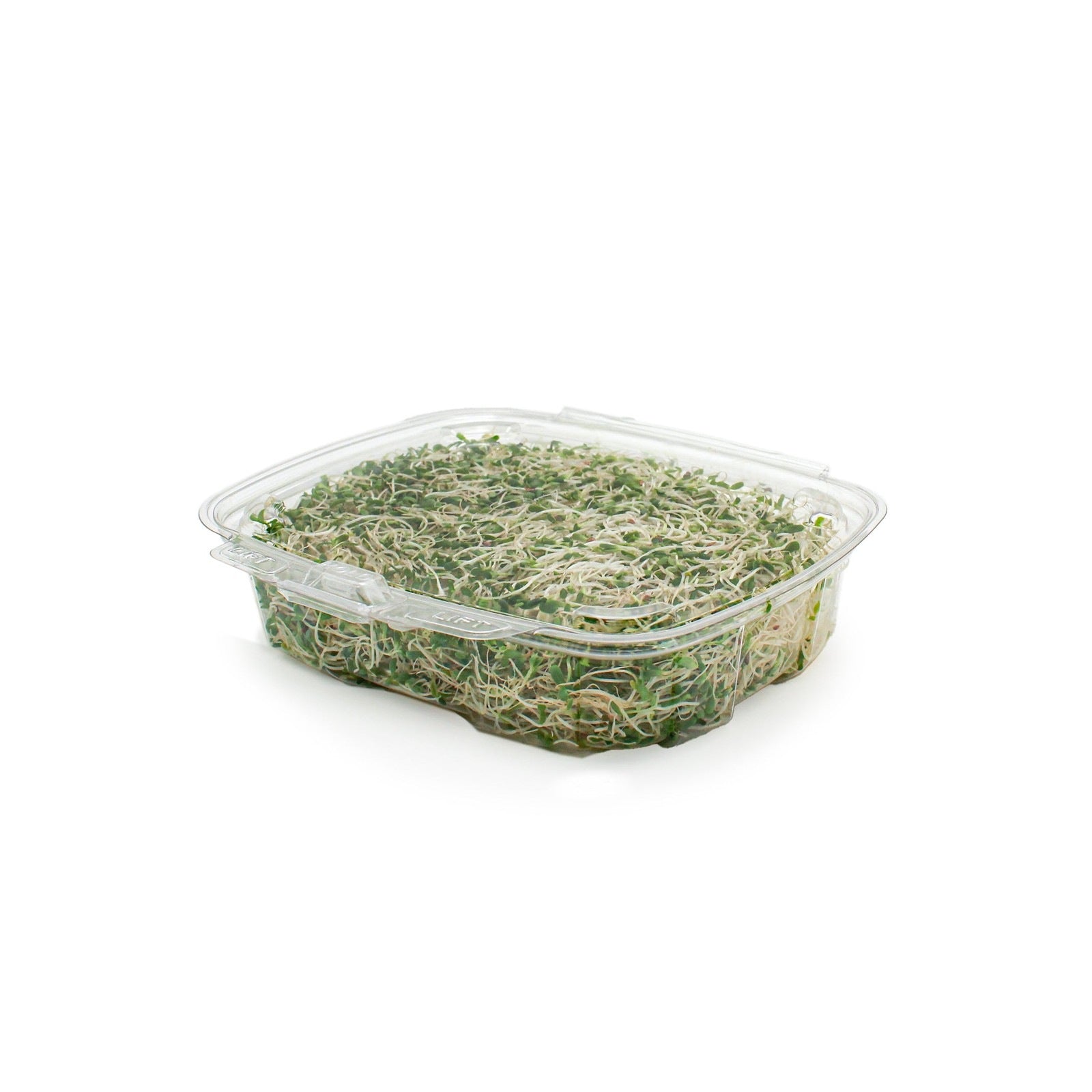 GoodGuard™ 20 oz. Multi-purpose Clamshell Package, Crystal Clear, PLA, 180/Case