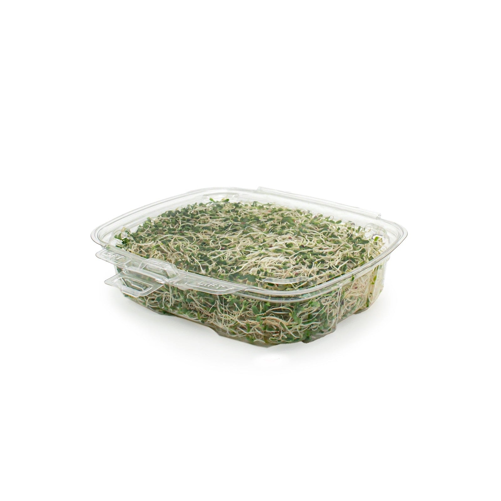 GoodGuard™ 20 oz. Multi-purpose Clamshell Package, Crystal Clear, PLA, 180/Case