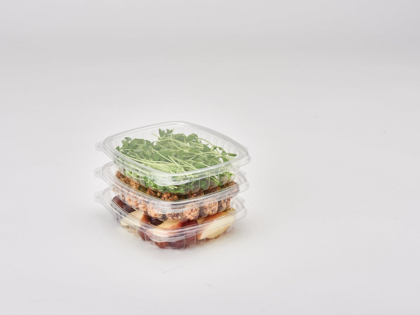 16 Oz Multi Purpose Clamshell Pacakge 9006