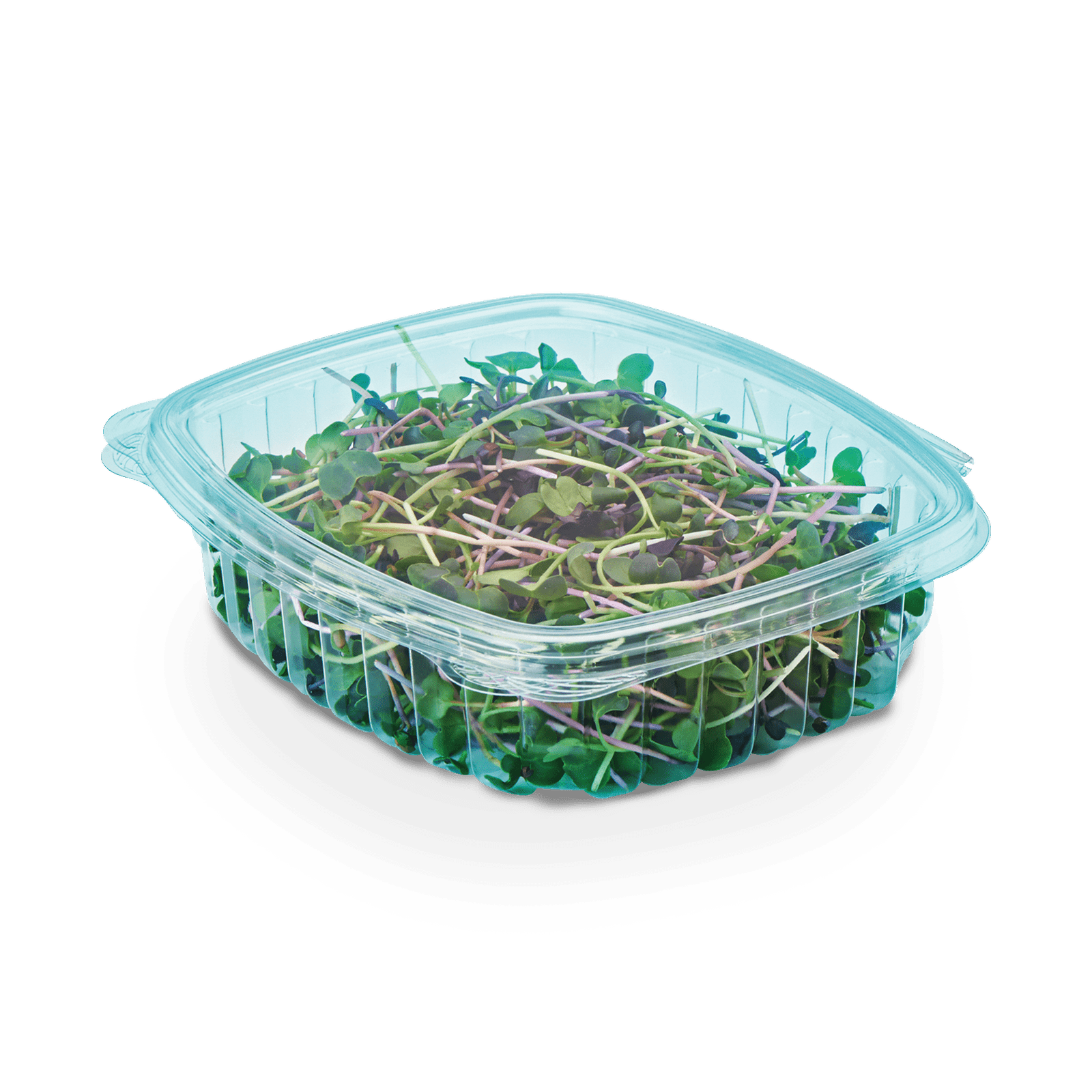 24 Oz Multi Purpose Clamshell Pacakge 9007