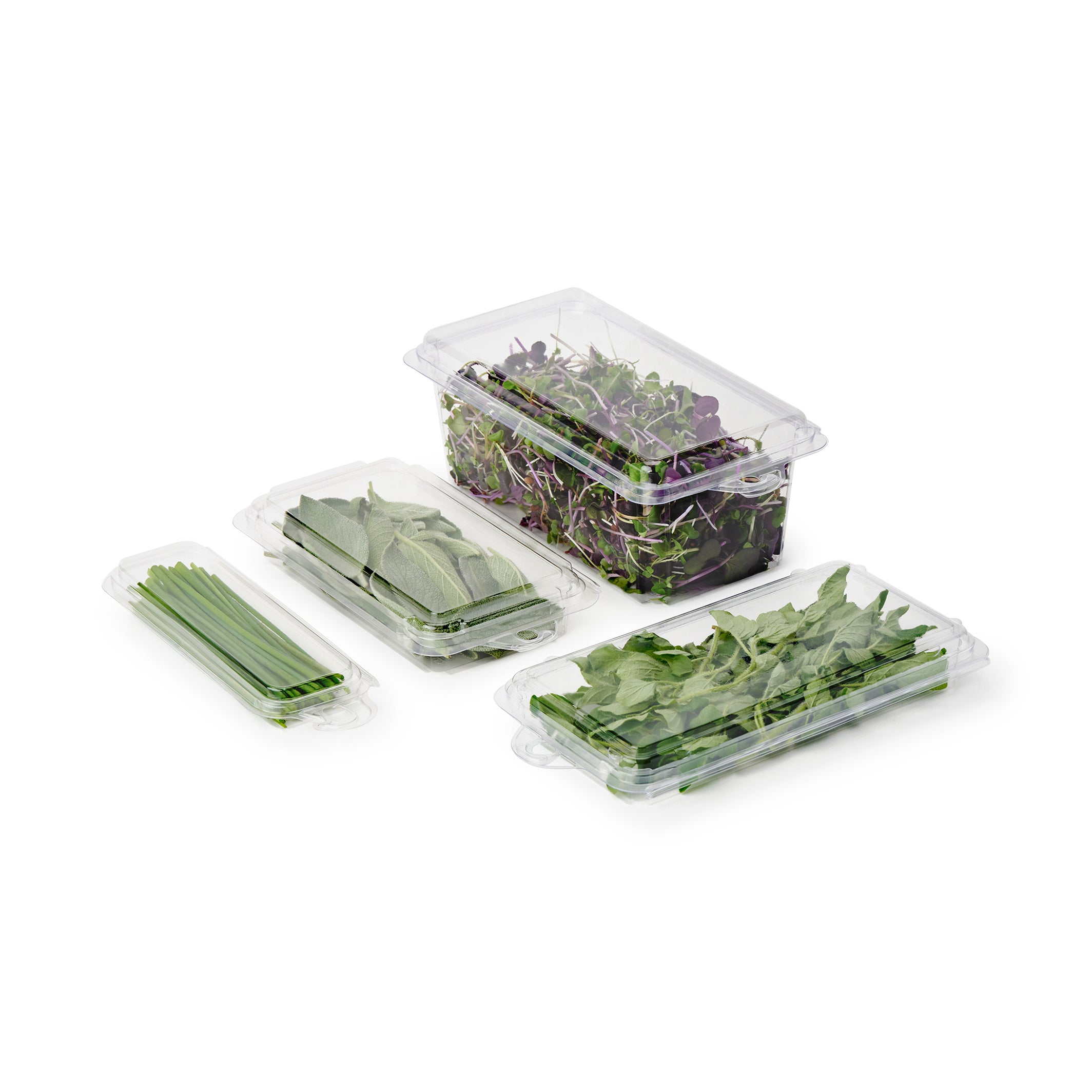 2 - 3 oz. Hanging Herb or Microgreen Package 0412