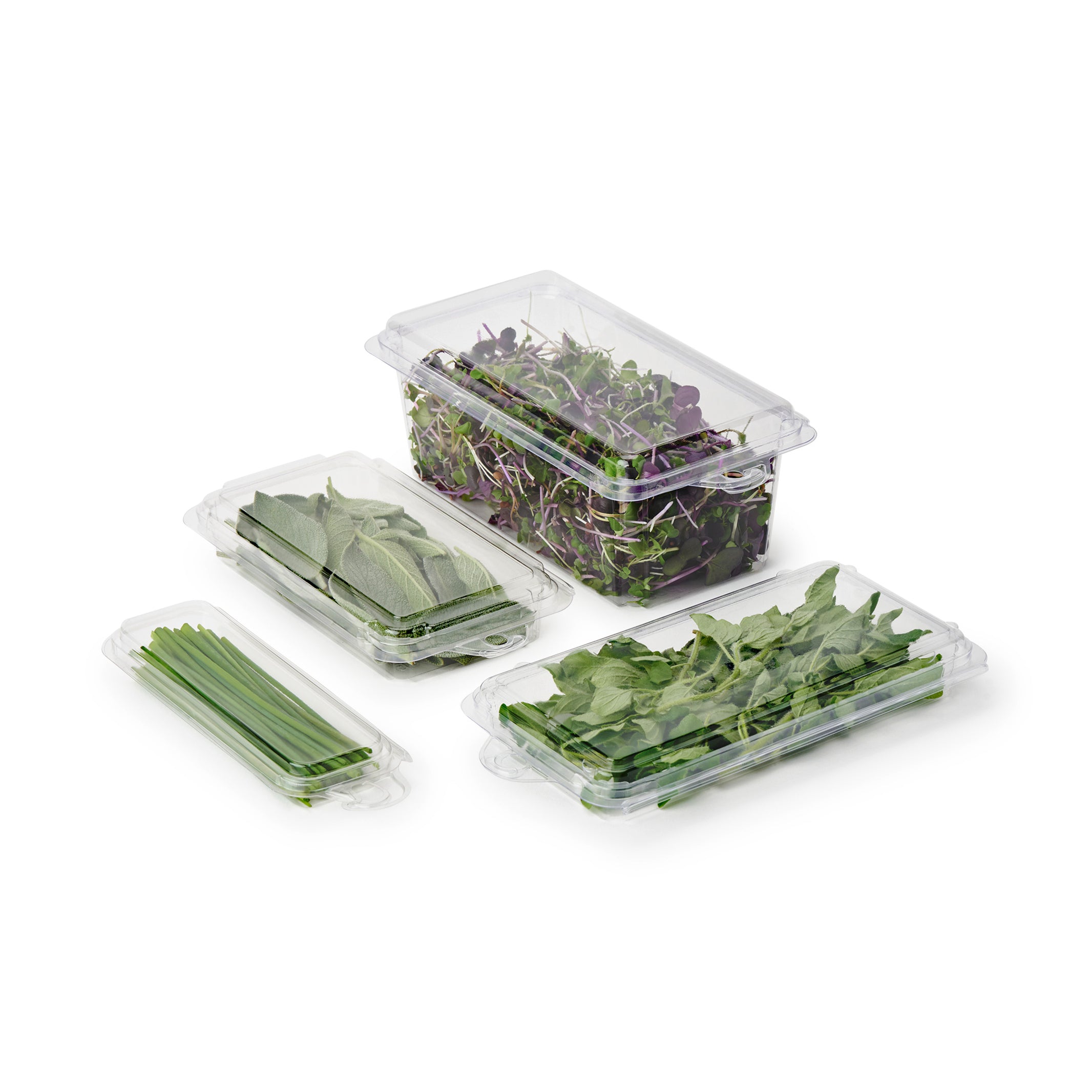 0.5 oz. Top Seal Hanging Fresh Herb & Microgreen Package 0321
