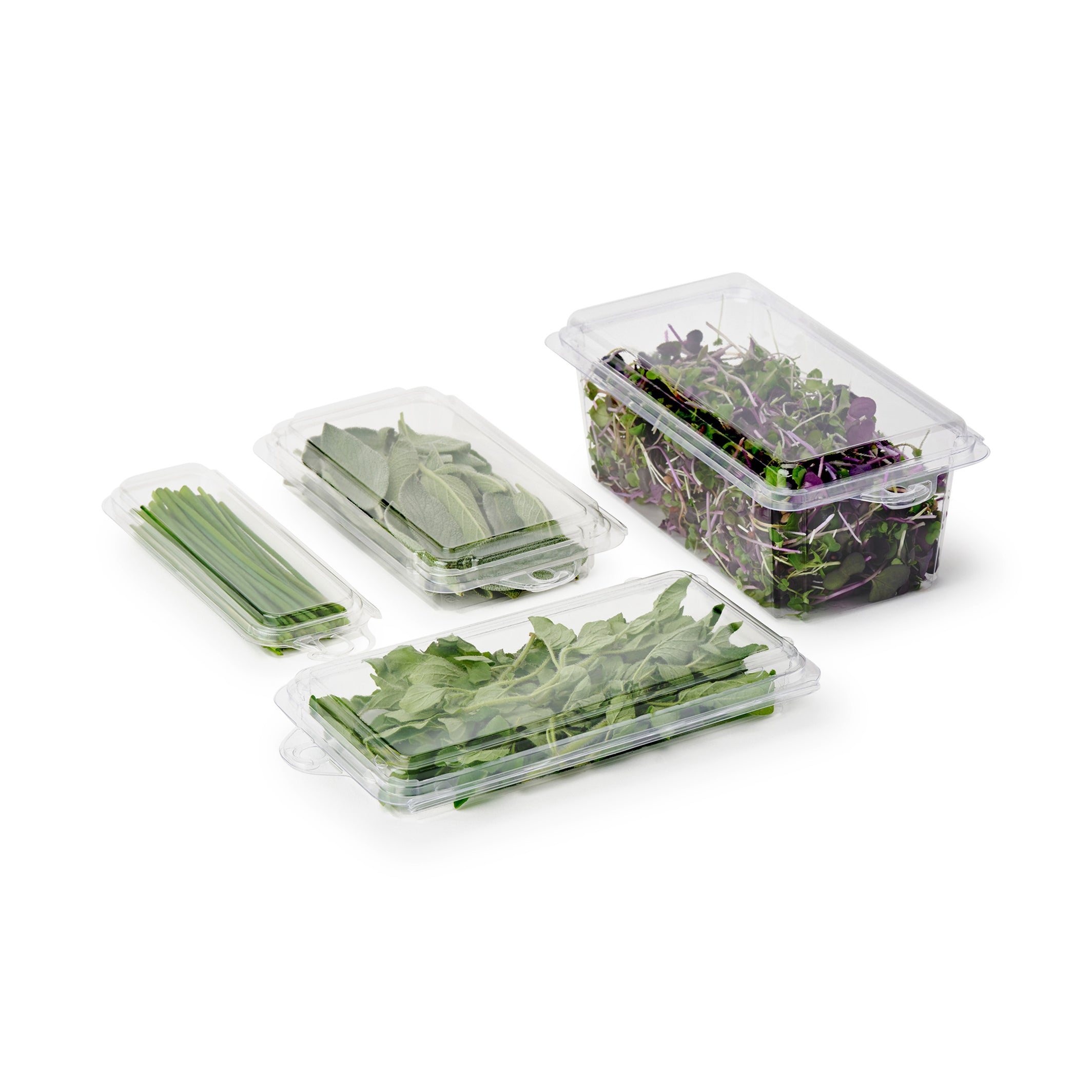 0.5 oz. Top Seal Hanging Fresh Herb & Microgreen Package 0321