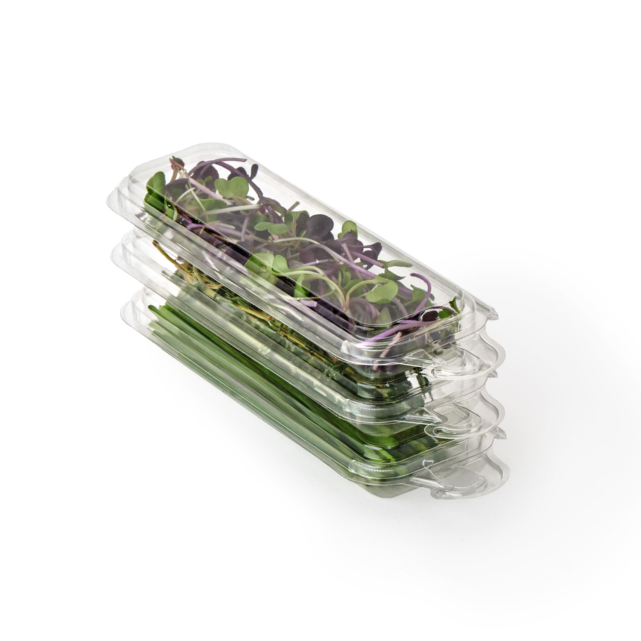 0.25 oz. Hanging Fresh Herb & Microgreen Package 0325