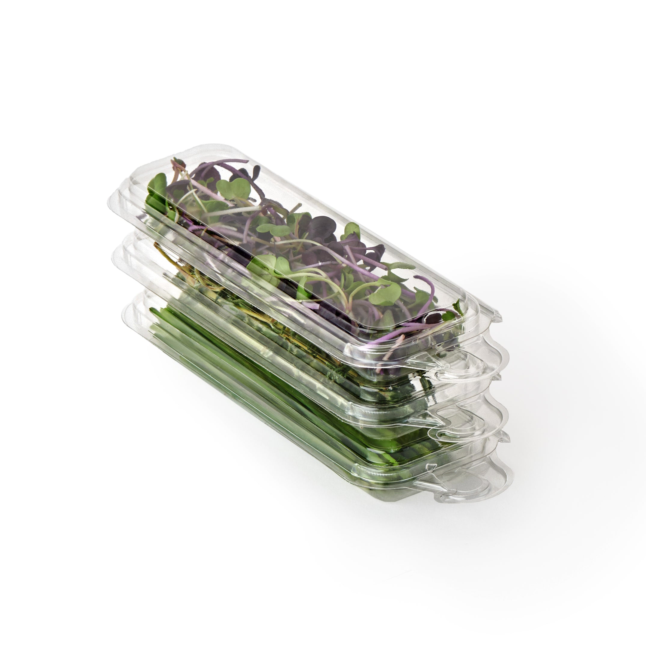 0.25 oz. Hanging Fresh Herb & Microgreen Package 0325