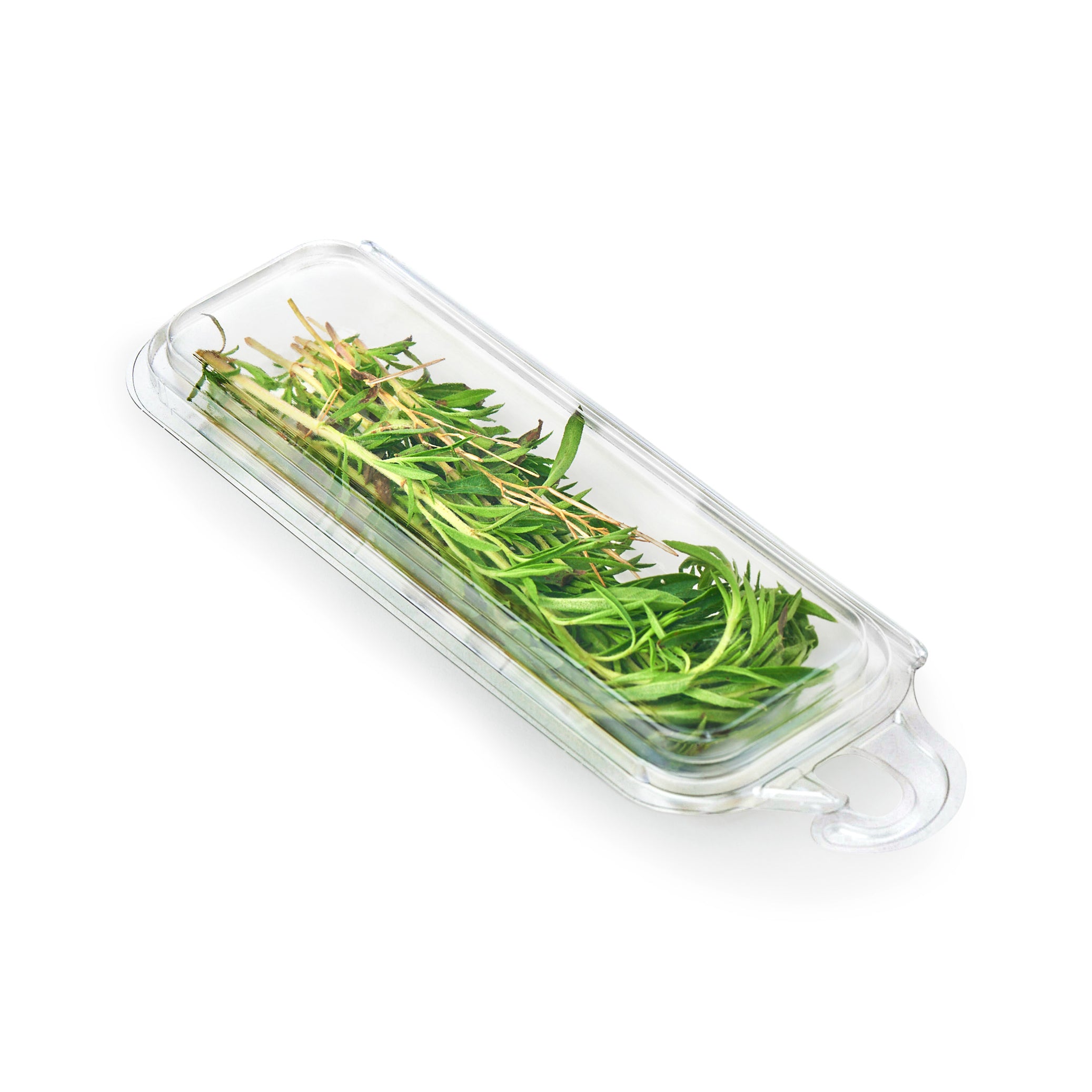 0.25 oz. Hanging Fresh Herb & Microgreen Package 0325