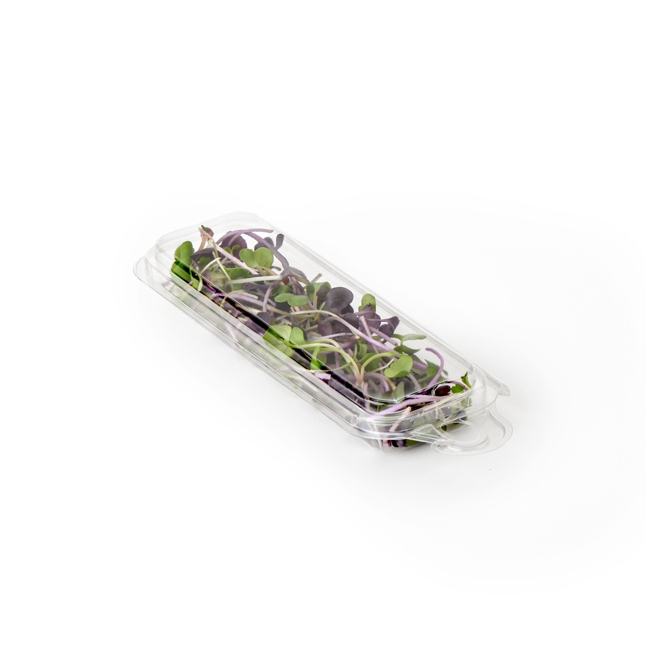 0.25 oz. Hanging Fresh Herb & Microgreen Package 0325