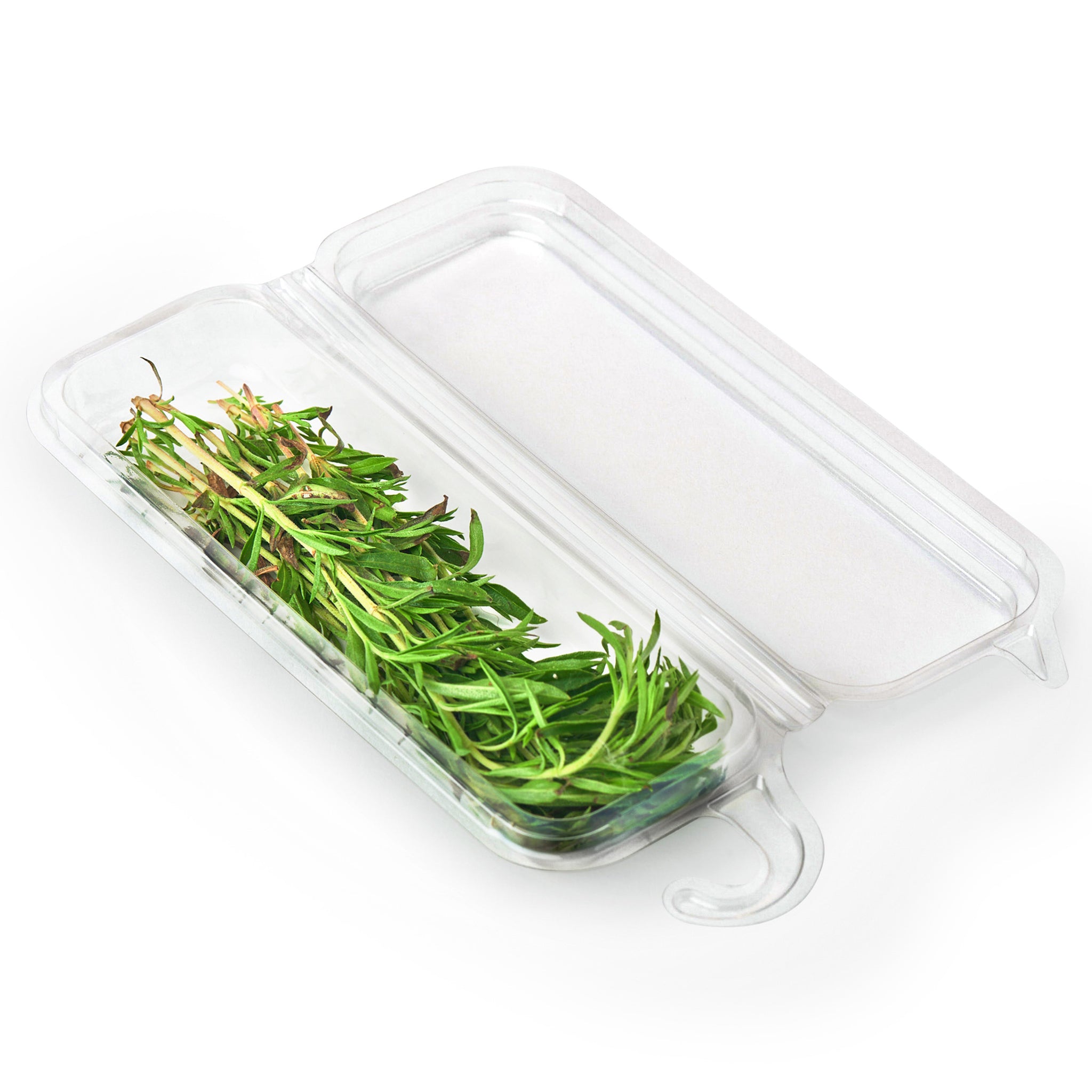0.25 oz. Hanging Fresh Herb & Microgreen Package 0325