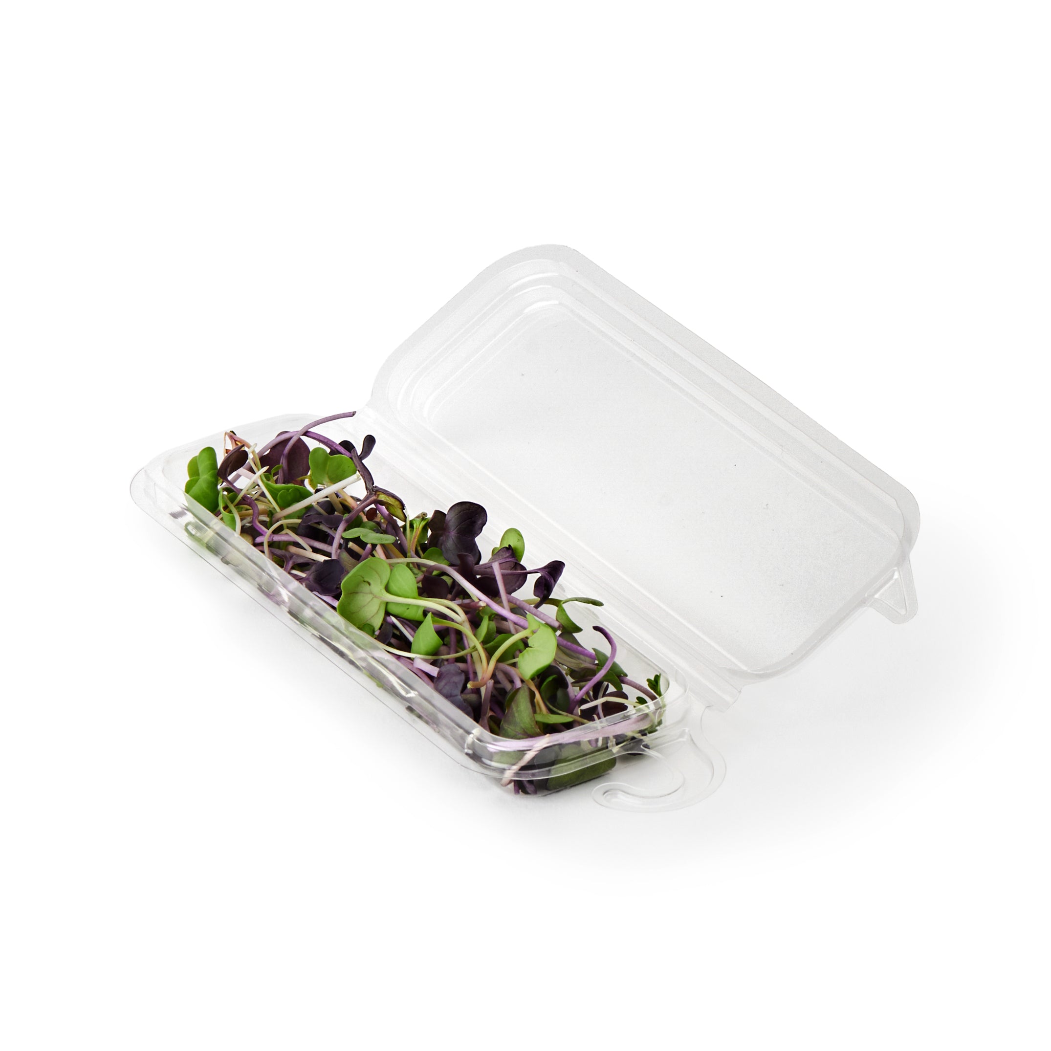 0.25 oz. Hanging Fresh Herb & Microgreen Package 0325