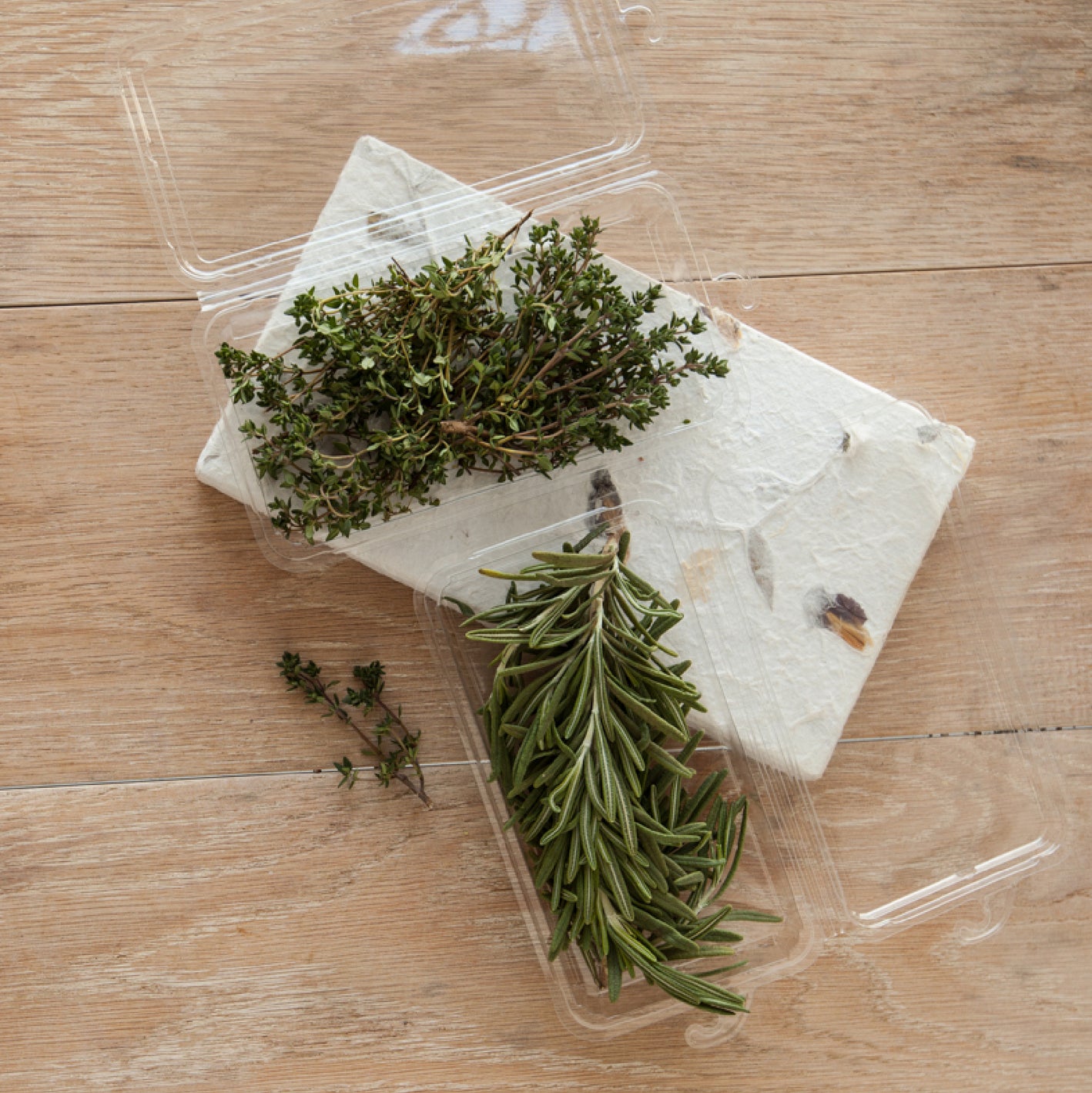 0.75 - 1 oz. Hanging Fresh Herb & Microgreen Package 0409 *