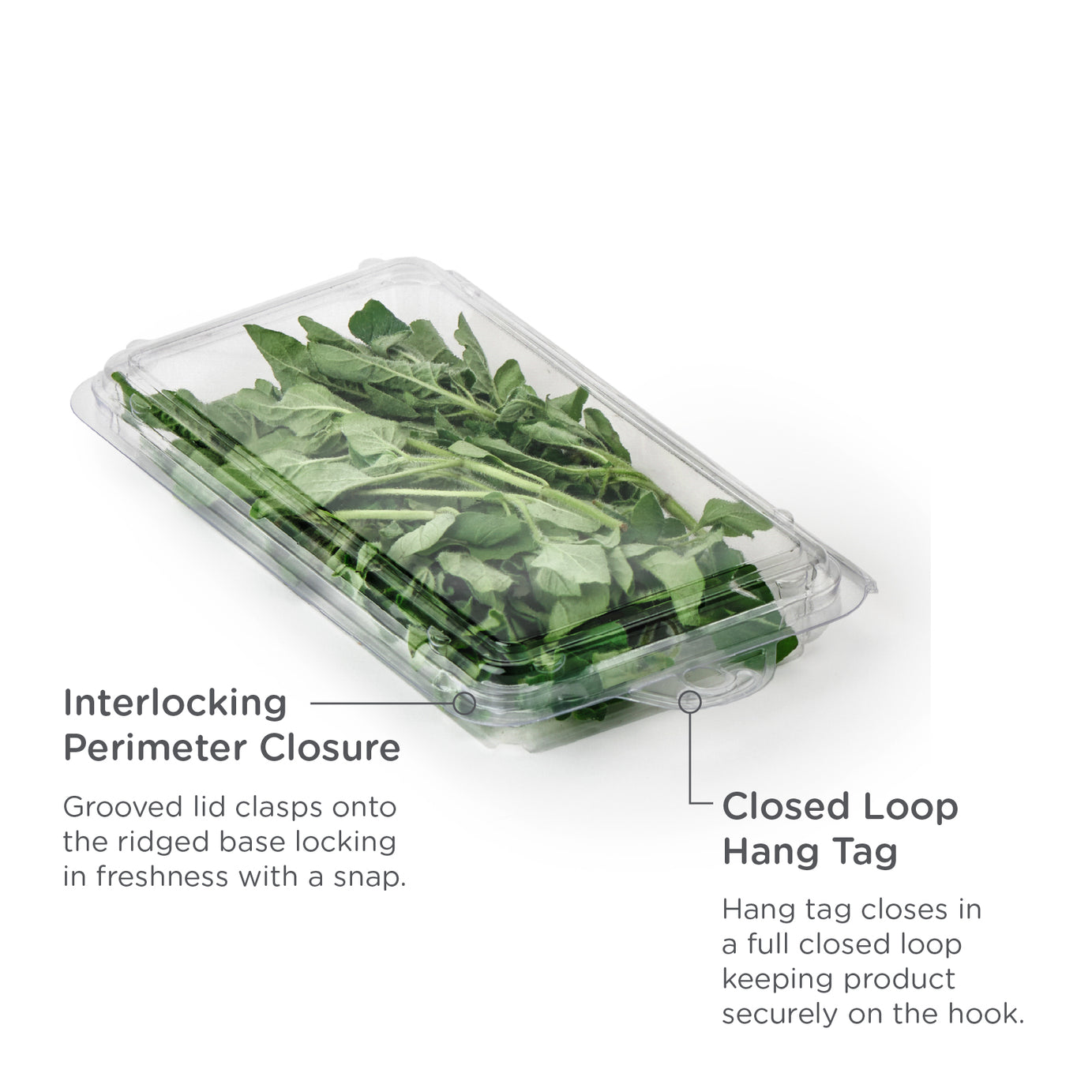 0.75 - 1 oz. Hanging Fresh Herb & Microgreen Package 0409 *