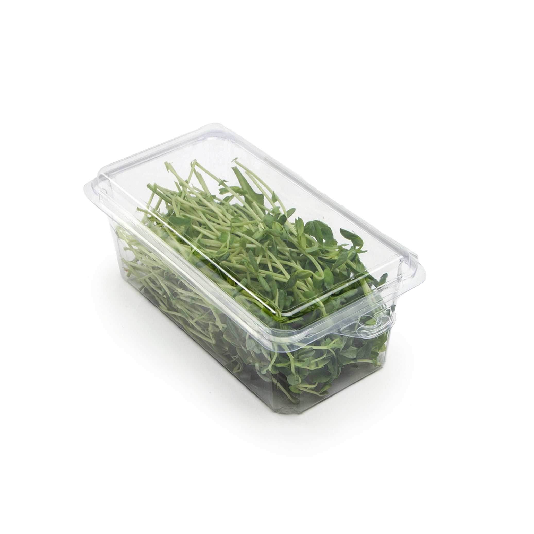 2 - 3 oz. Hanging Herb or Microgreen Package 0412