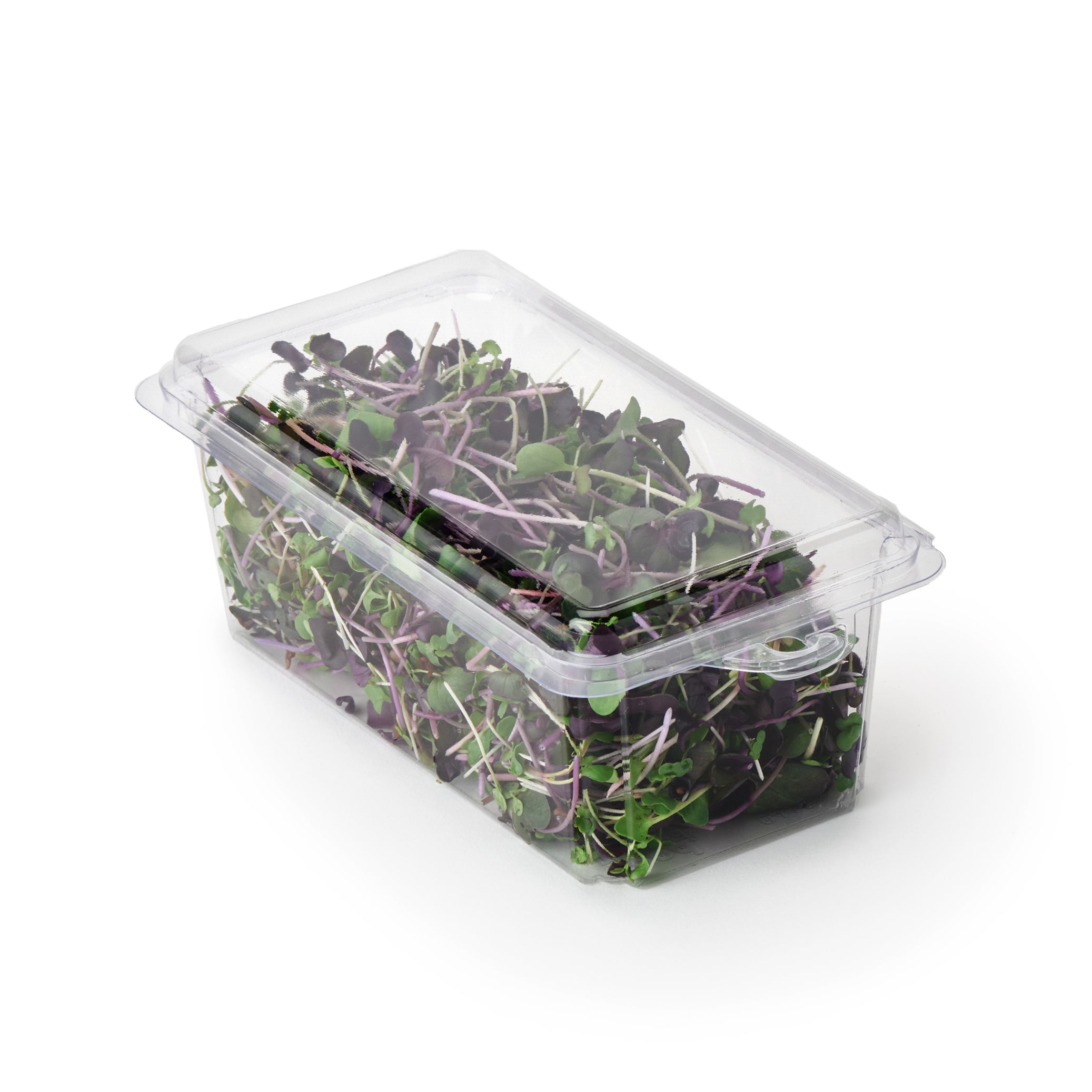 2 - 3 oz. Hanging Herb or Microgreen Package 0412