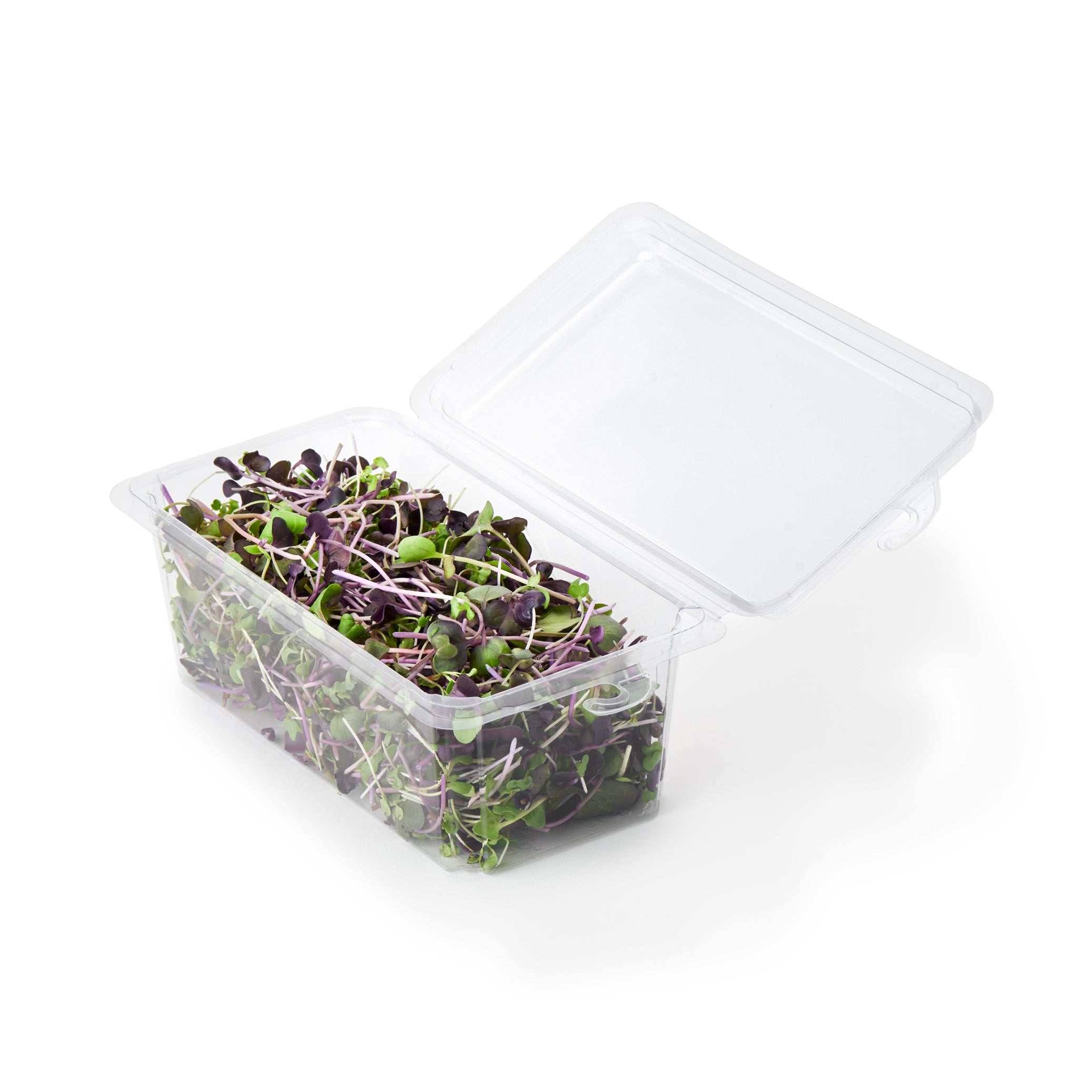 2 - 3 oz. Hanging Herb or Microgreen Package 0412
