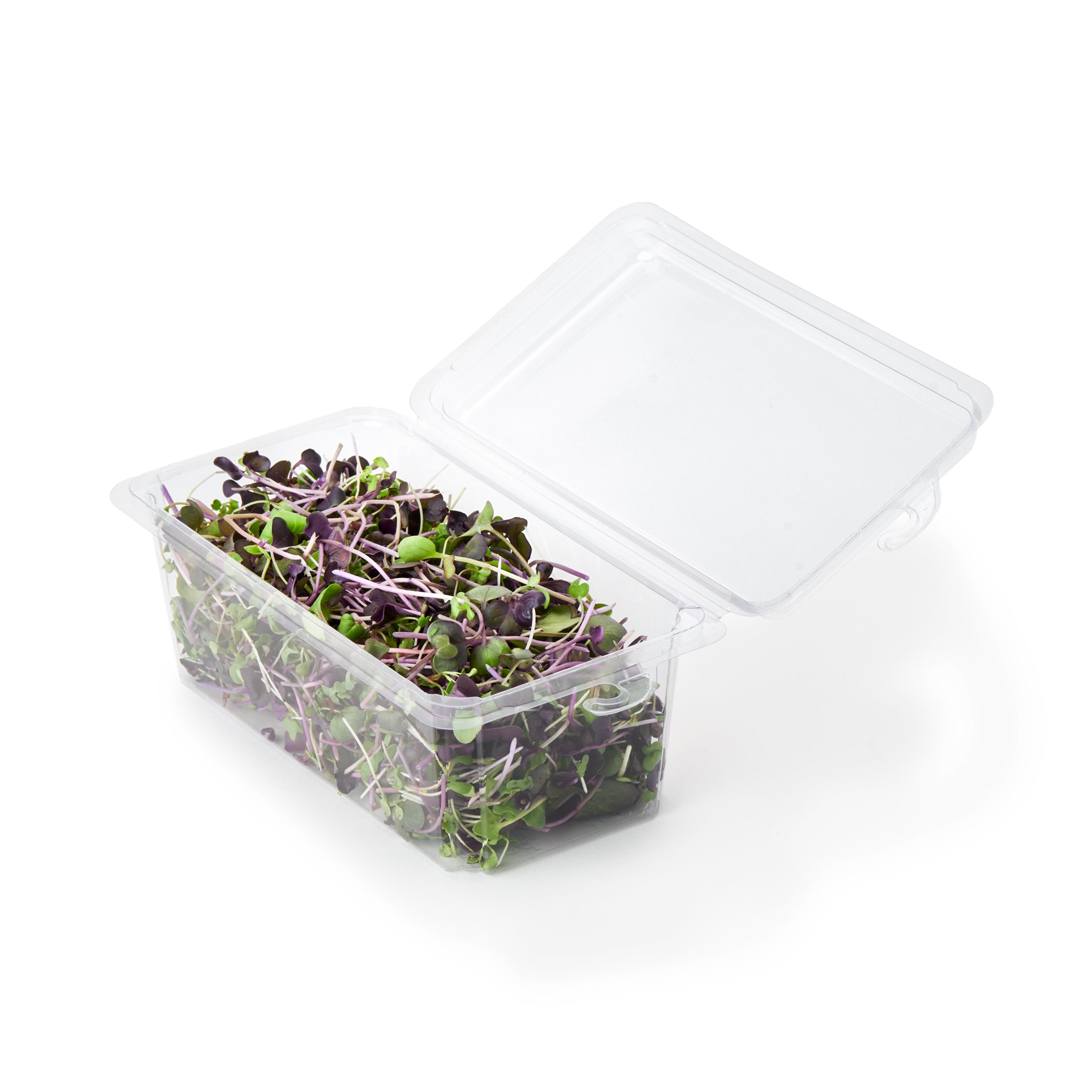 2 - 3 oz. Hanging Herb or Microgreen Package 0412