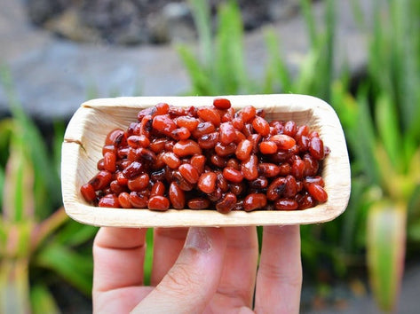 2 x 4 Inch Rectangle Palm Leaf Mini Trays - 600 pcs