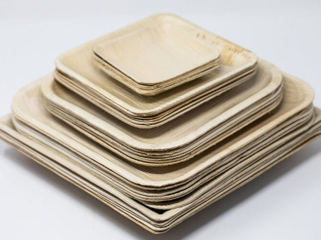 9.5-inch Square Palm Leaf Plate with Round Edges, 200 Count